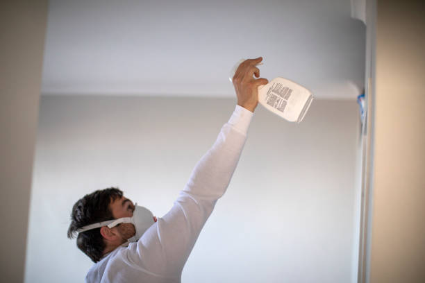 Best Home Mold Removal  in Toccoa, GA