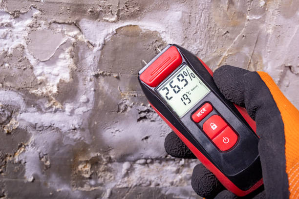 Best Mold Removal Company Near Me  in Toccoa, GA