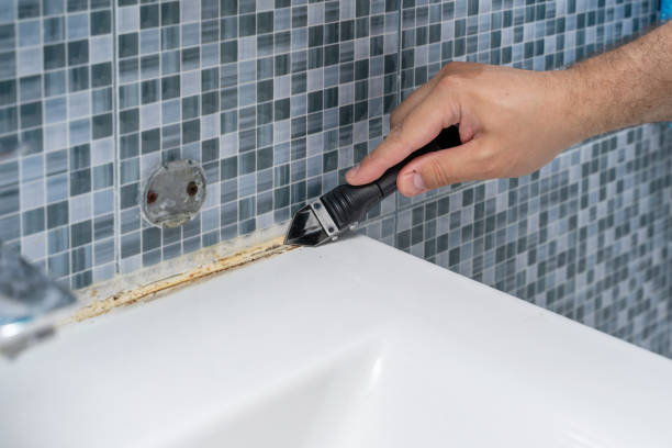 Best Same-Day Mold Removal  in Toccoa, GA
